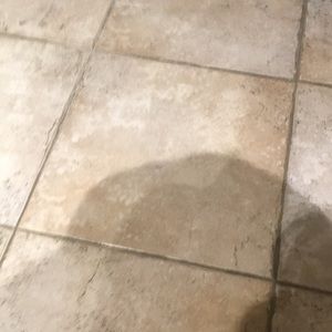 Meet your Posher, Jackson